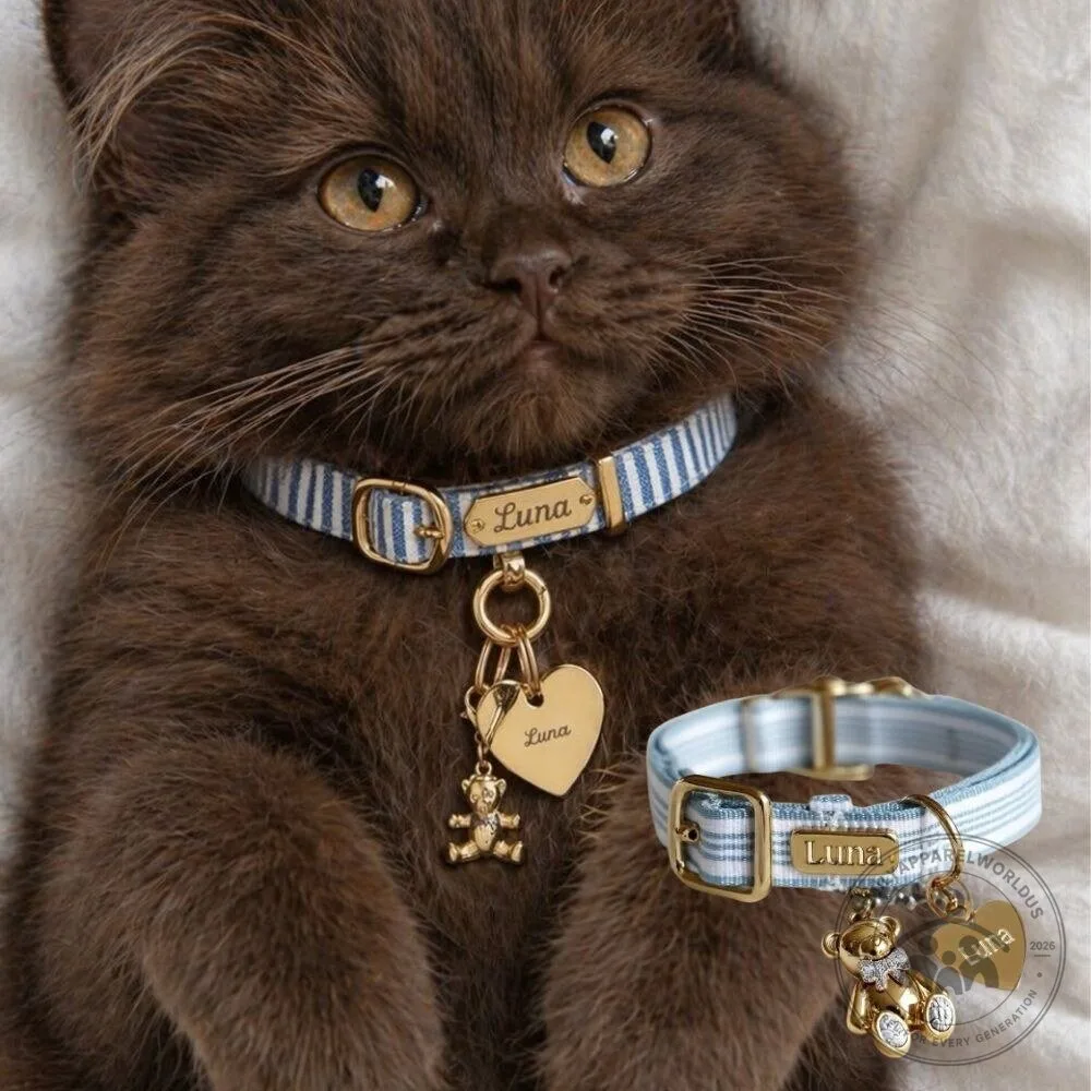 Custom Blue Striped Cat Collar with Charm 9 Custom Blue Striped Cat Collar with Charm product design shown in a detailed view